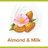 Palmolive Naturals Almond & Milk Żel pod prysznic 500ml